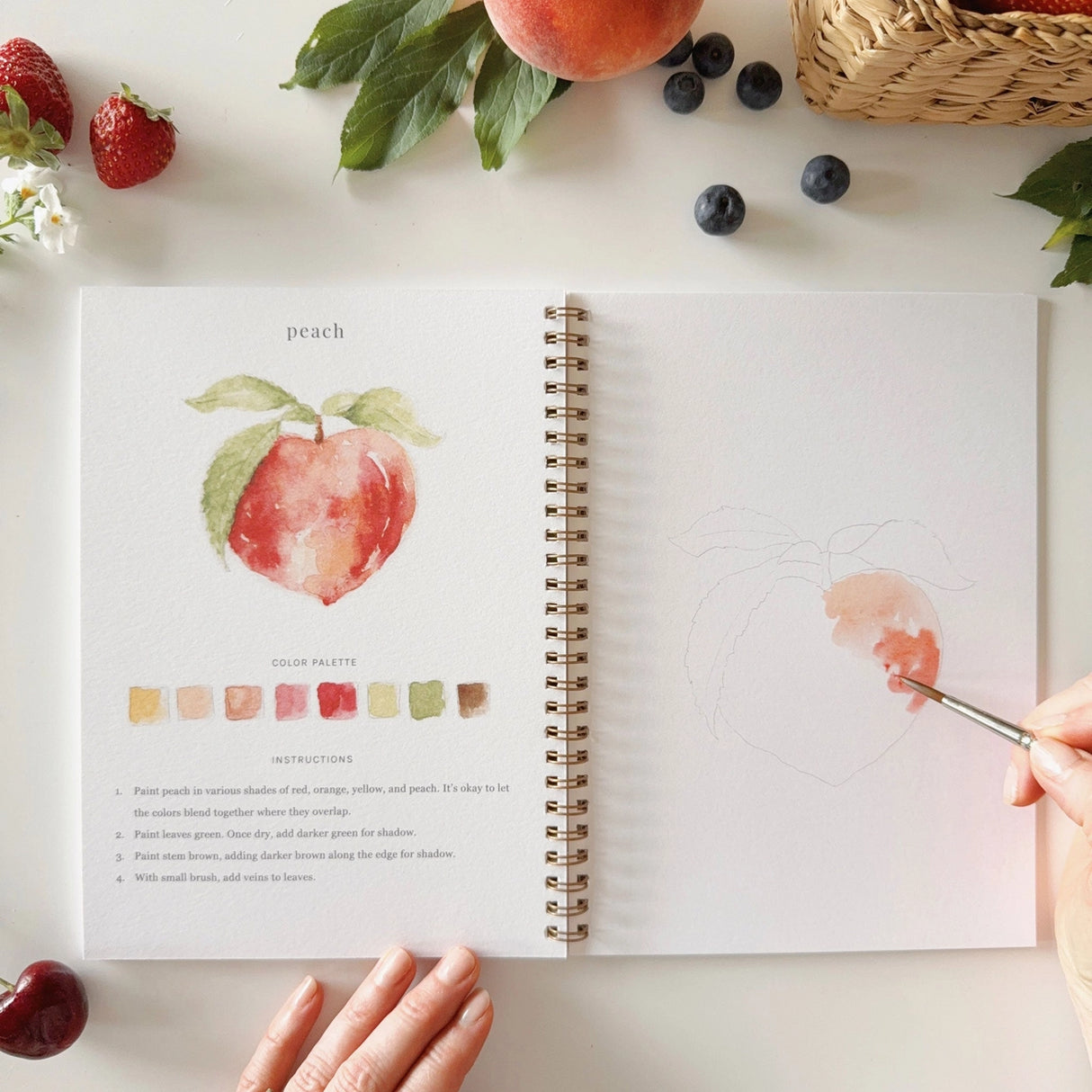 Fruits Watercolor Workbook - emily lex studio