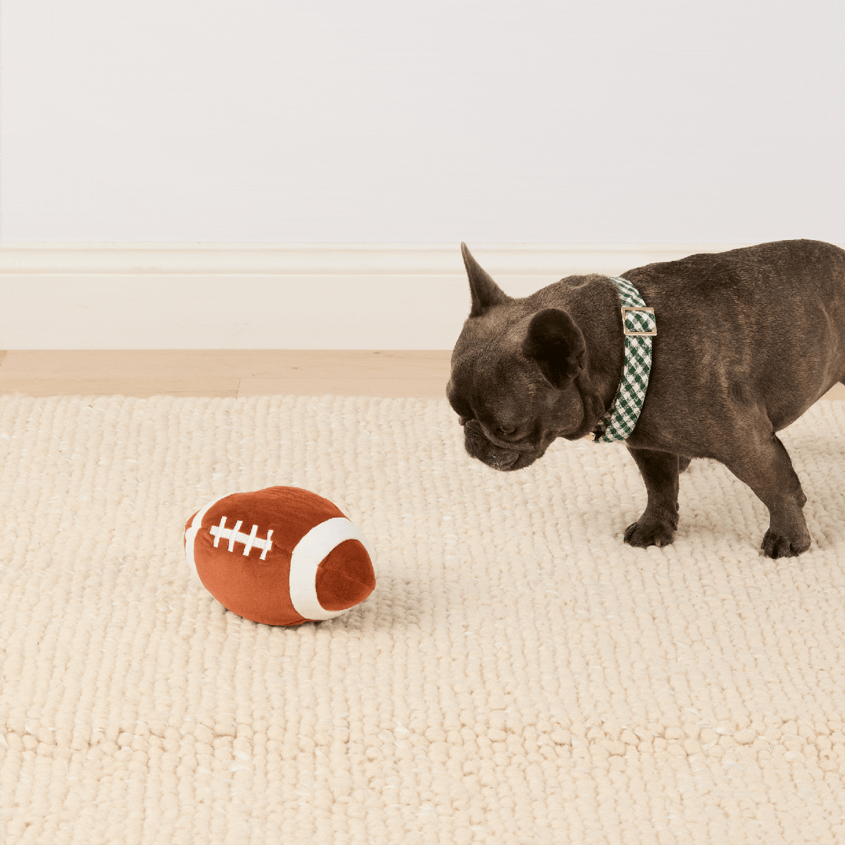 Football Interactive Snuffle Dog Toy - The Foggy Dog