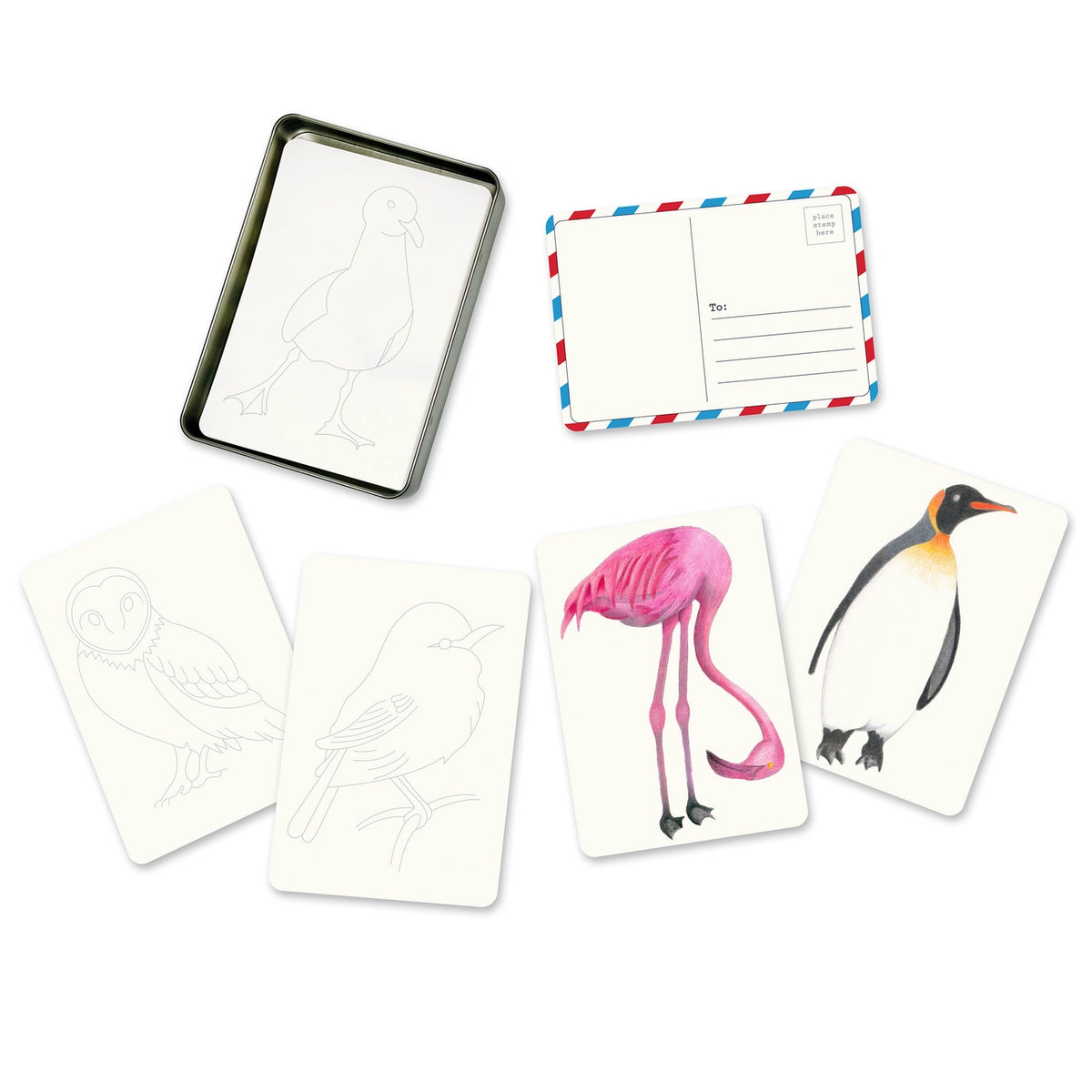 Bird Coloring Postcards Stationary (Pack of 30) - eco-kids