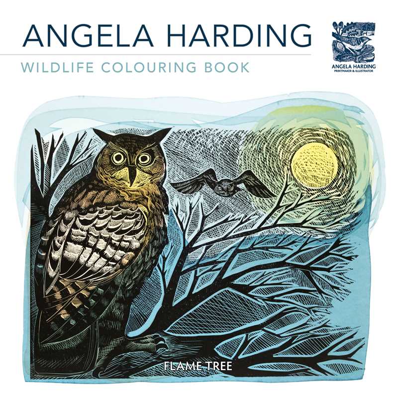 Wildlife Coloring Book By Angela Harding