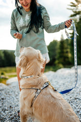 Three Pines® Tan Dog Collar | USA Made