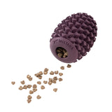 Rubber Pinecone Dog Toy - Tall Tails
