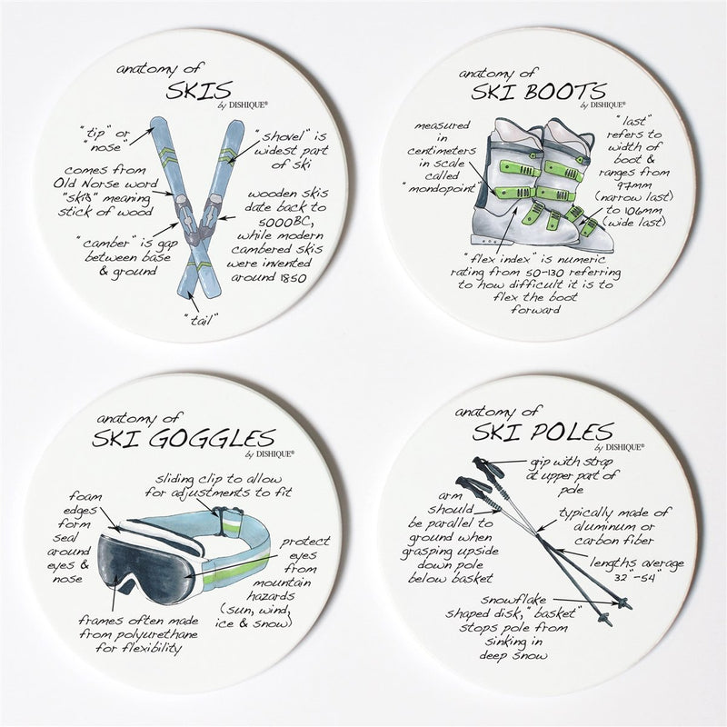 Skiing Anatomy Coasters - Dishique