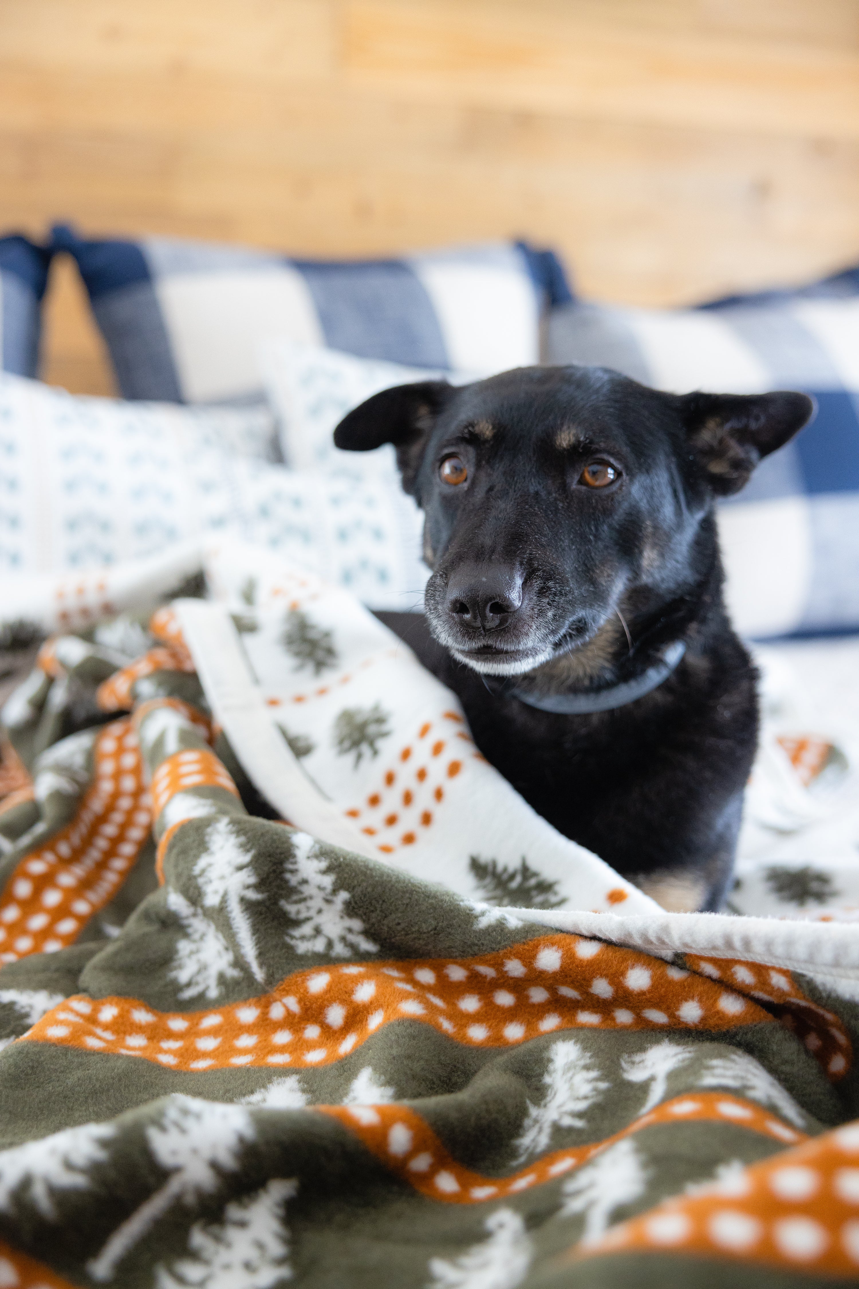 The Woods Maine Three Pines x ChappyWrap Maine Heirloom Blanket The Woods Maine