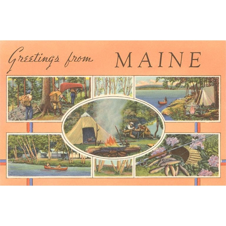 ME-258 Greetings from Maine Postcard - Found Image