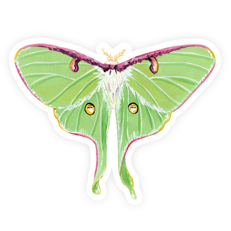 Luna Moth Sticker - Laura King Paints