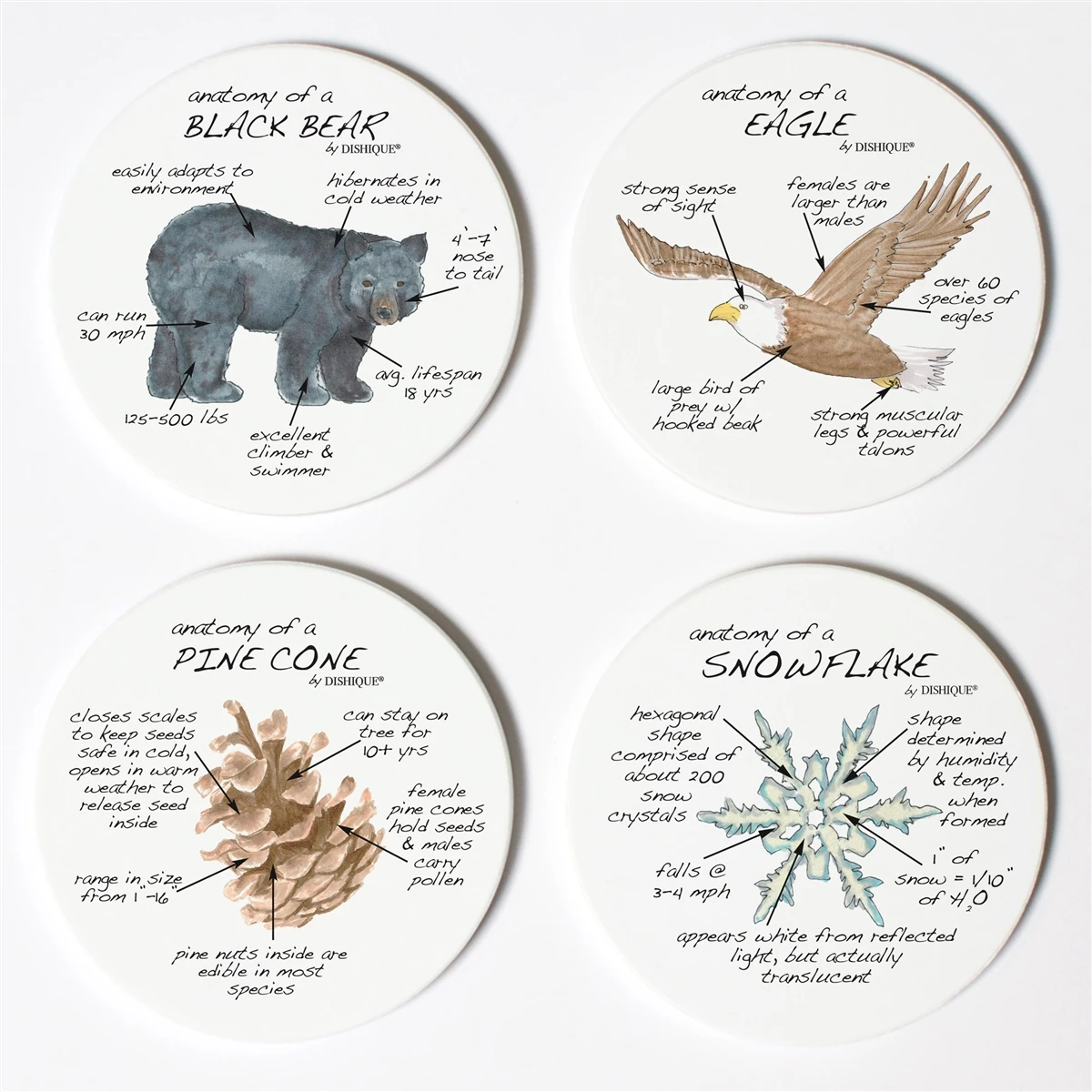 Mountain Life Anatomy Coasters - Dishique