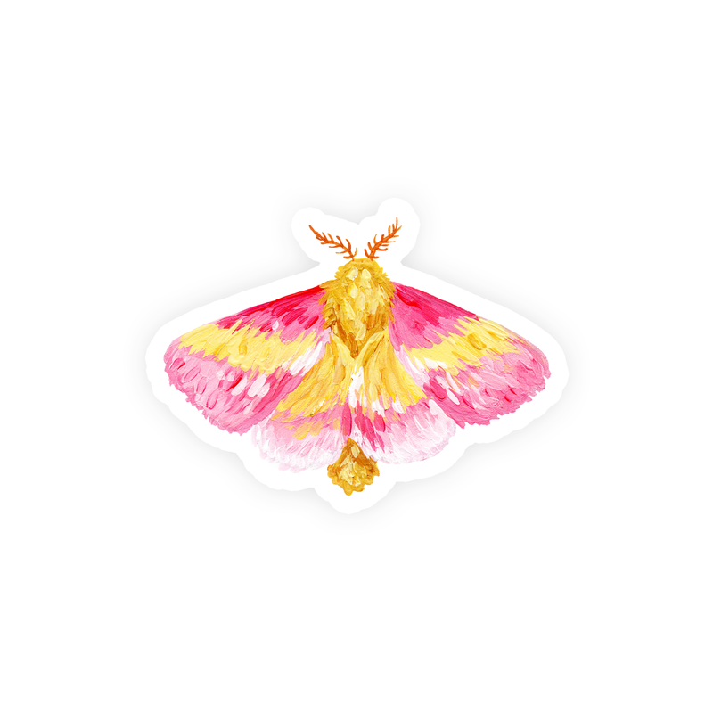 Rosy Maple Moth Tiny Sticker - Laura King Paints