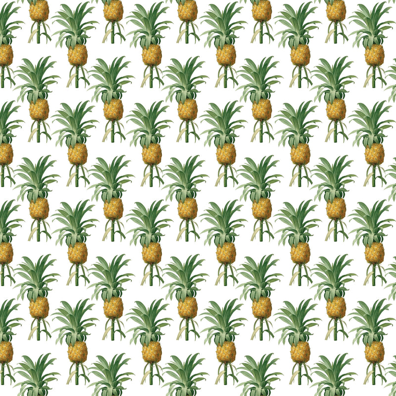 Pineapples Gift Wrap - Fairhope Graphics