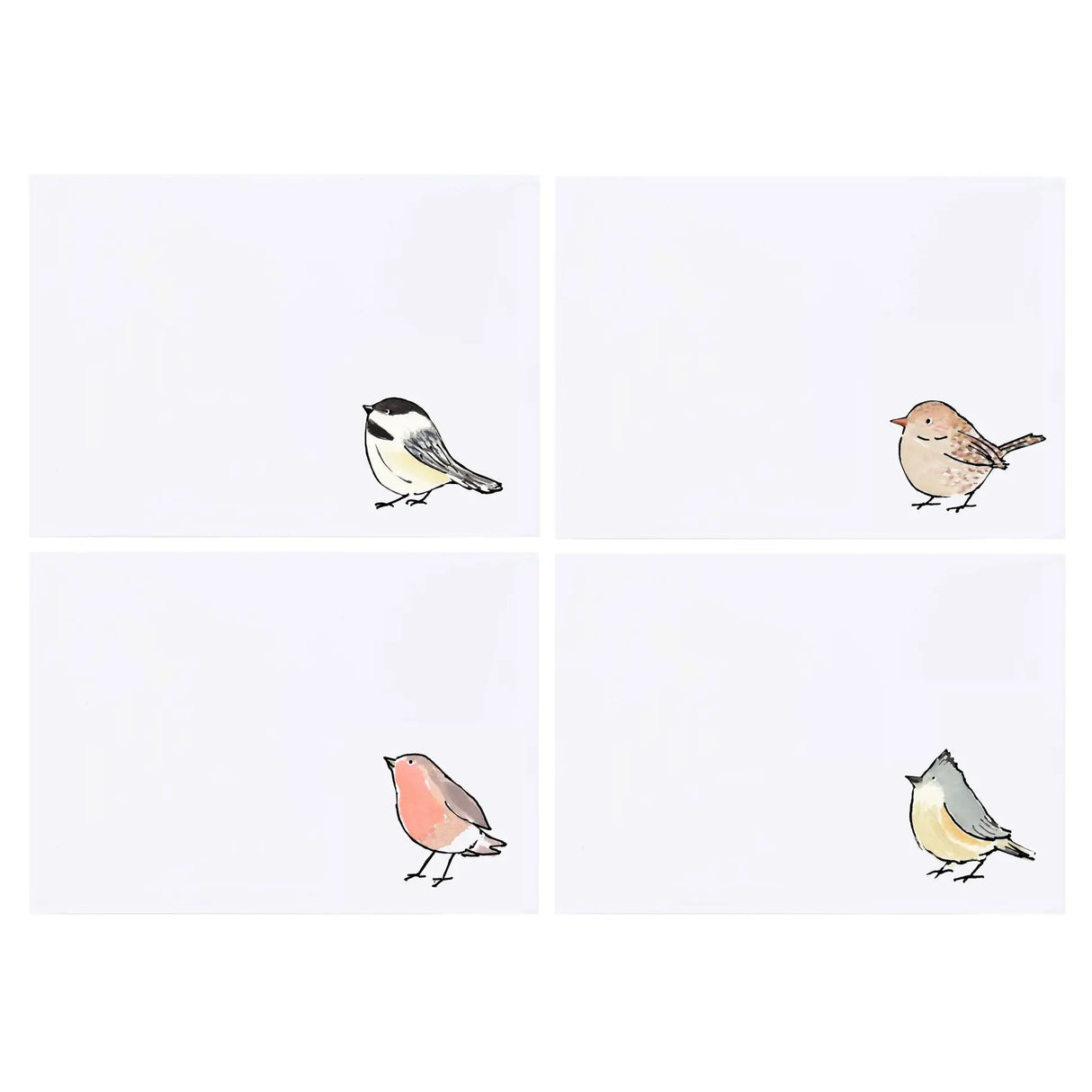 Birds Stationery - mollyOcards - The Woods Maine
