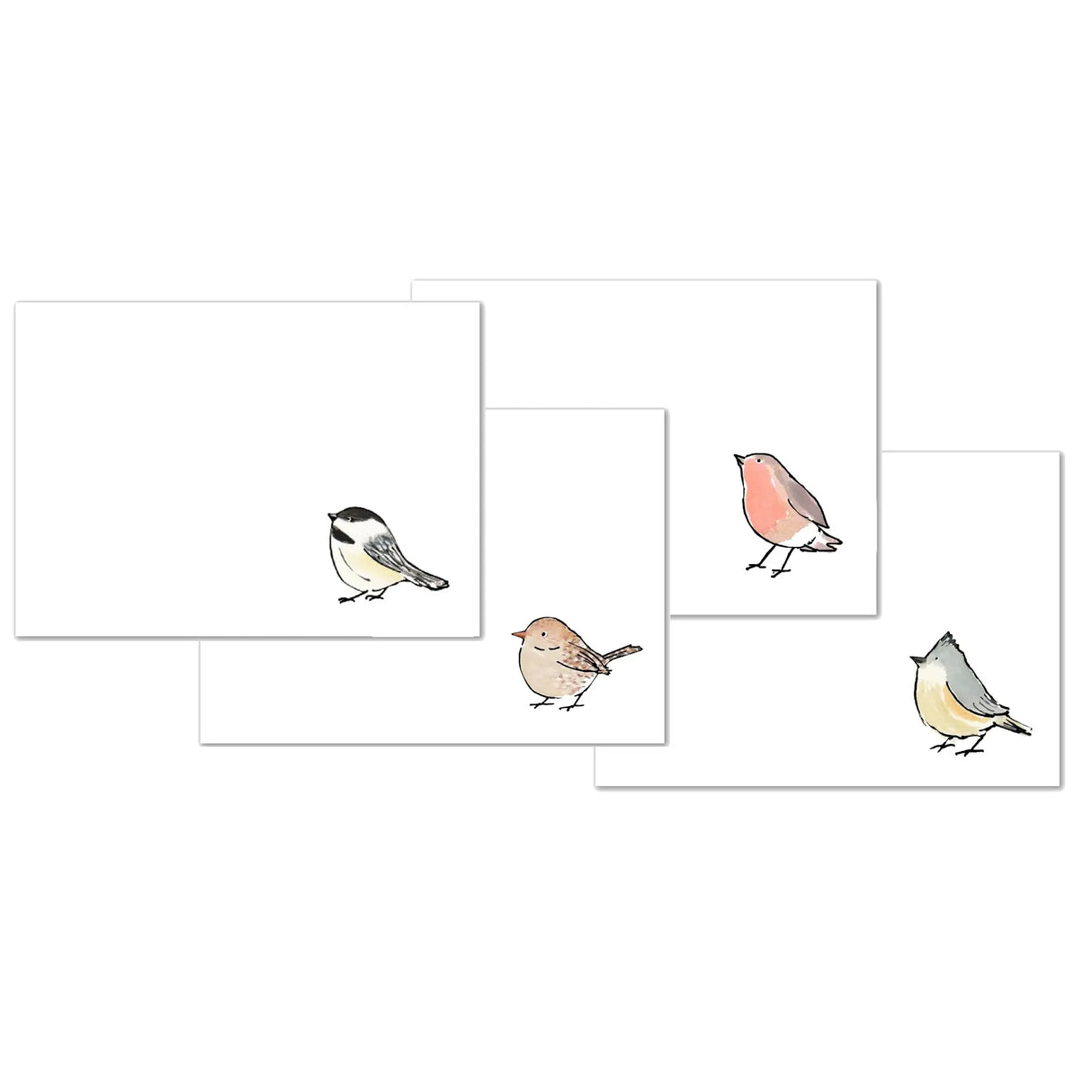 Birds Stationery - mollyOcards - The Woods Maine