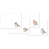 Birds Stationery - mollyOcards - The Woods Maine