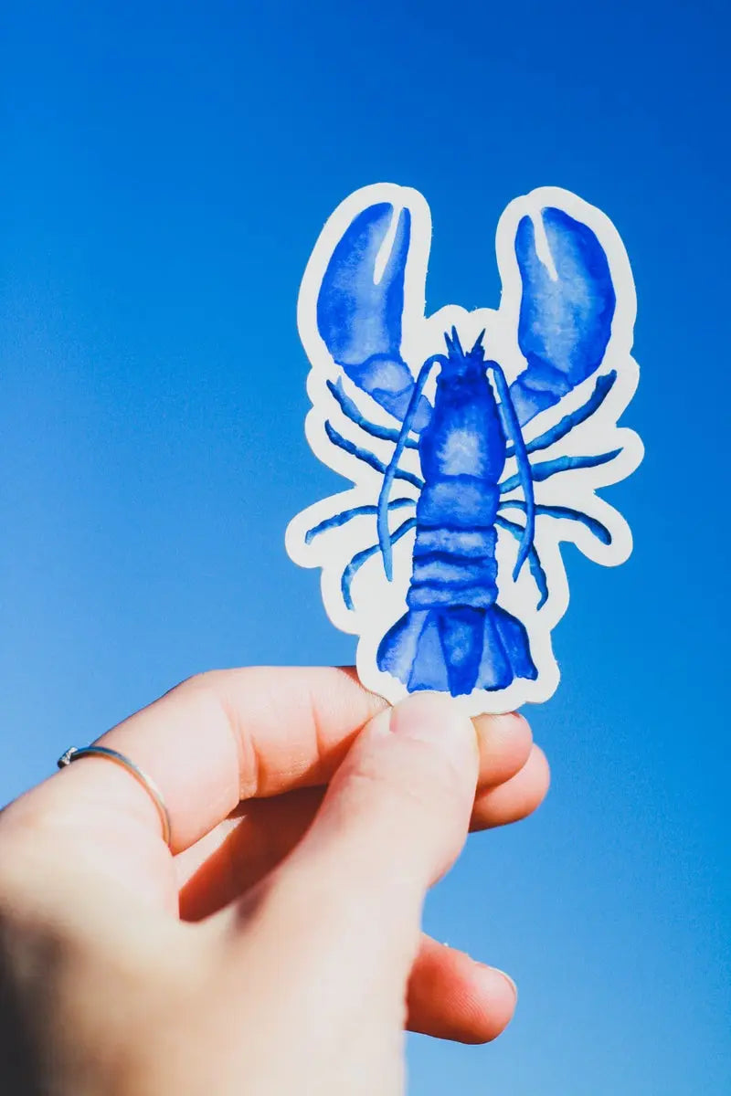 Blue Lobster Sticker - S&D | Maine Made Stickers - The Woods Maine