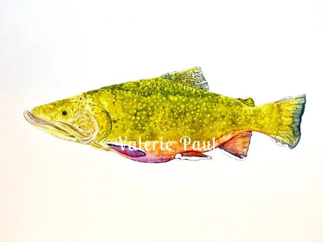 Brook Trout Watercolor Print - Valerie Paul Art - The Woods Maine