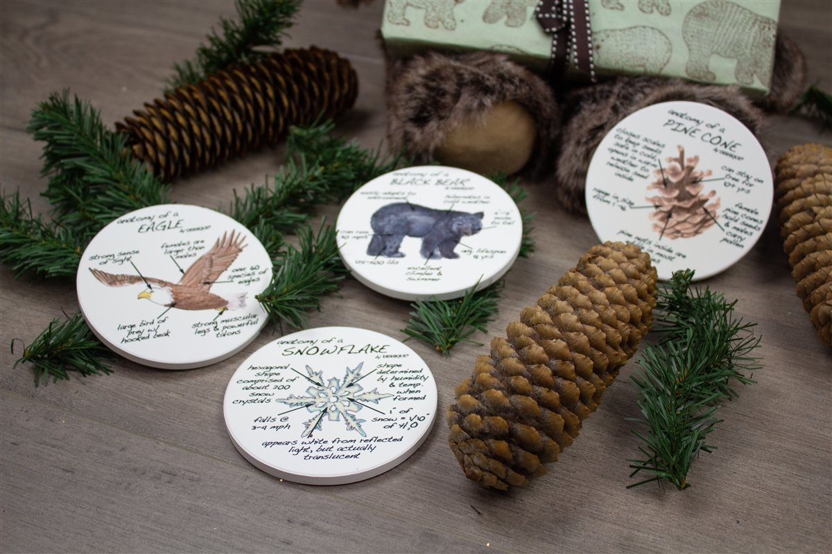 Mountain Life Anatomy Coasters - Dishique