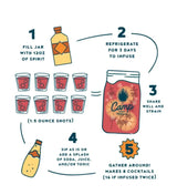 Cranberry Martini 16oz - Camp Craft Cocktails - The Woods Maine