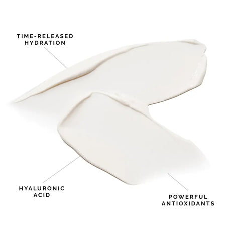 Daily Perfecting Moisturizer SPF 30 - MDSolar Sciences - The Woods Maine