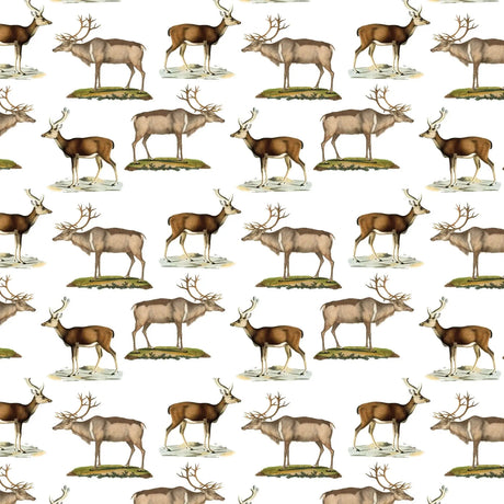 Deer Gift Wrap - Fairhope Graphics - The Woods Maine
