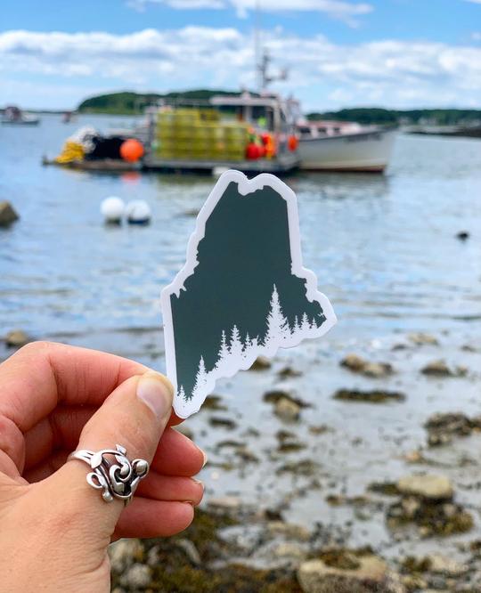 Maine Pine Tree Coast Sticker - Reclaimed Maine