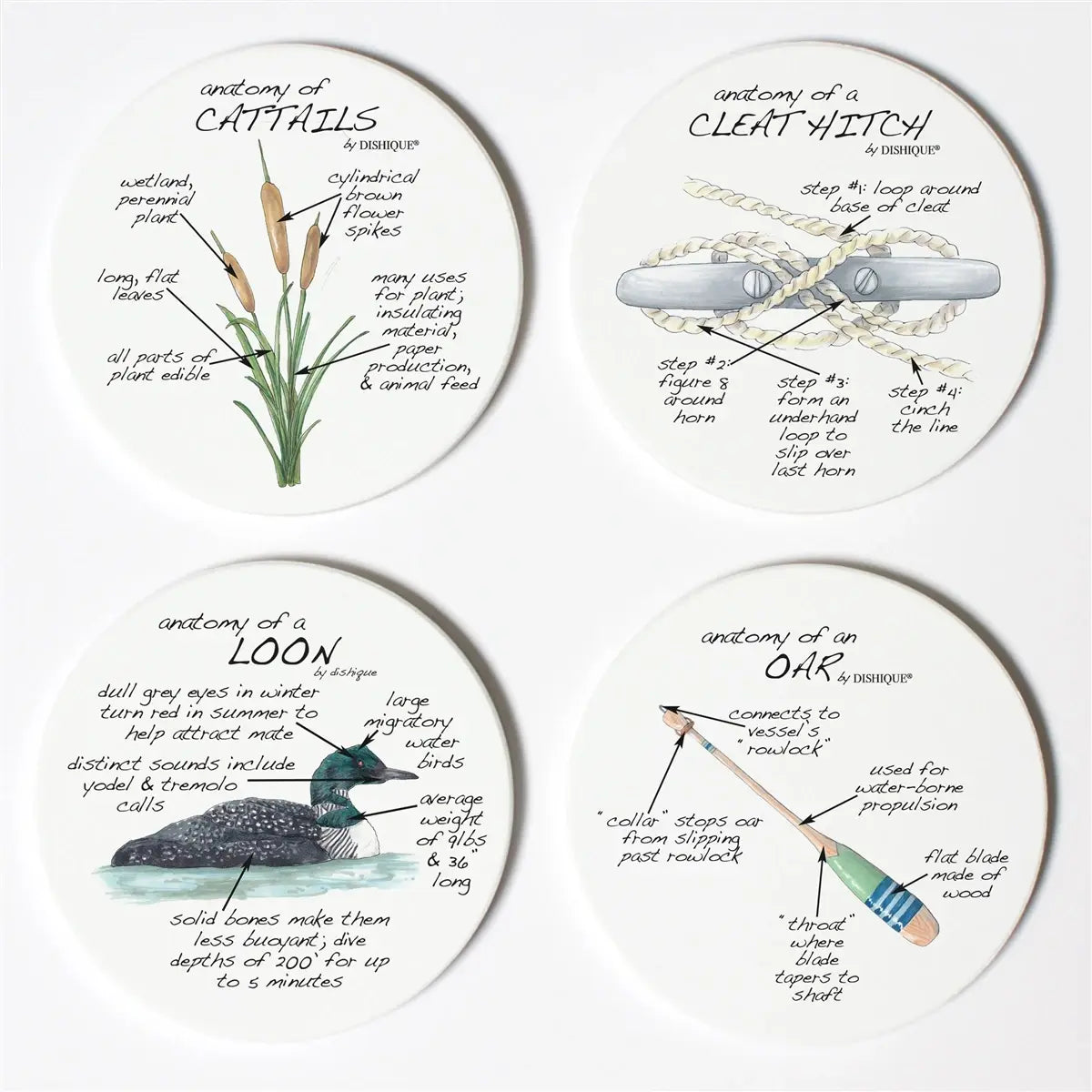 Lake Life Anatomy Coasters - Dishique - The Woods Maine
