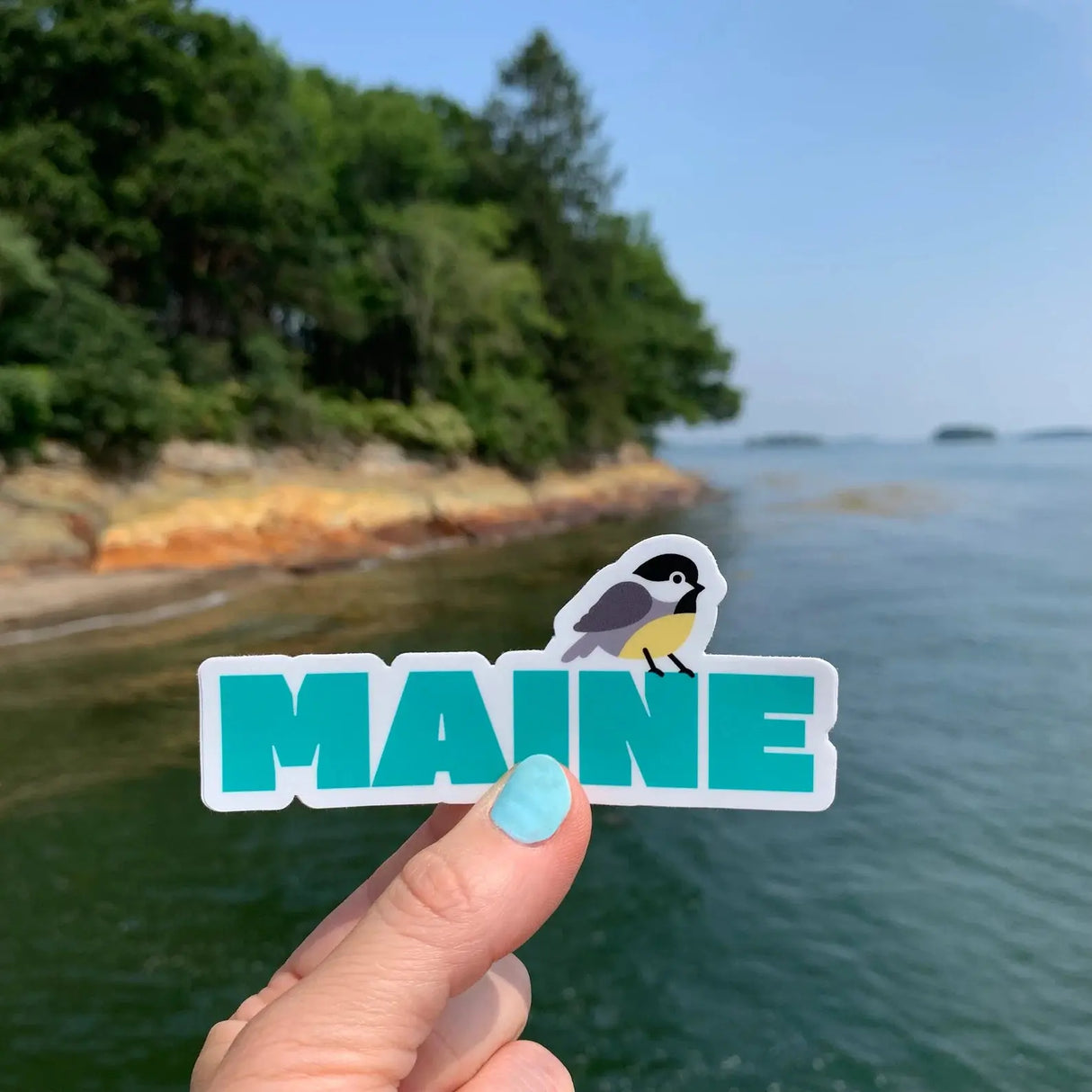 Maine Chickadee Sticker - FATBIRD - The Woods Maine