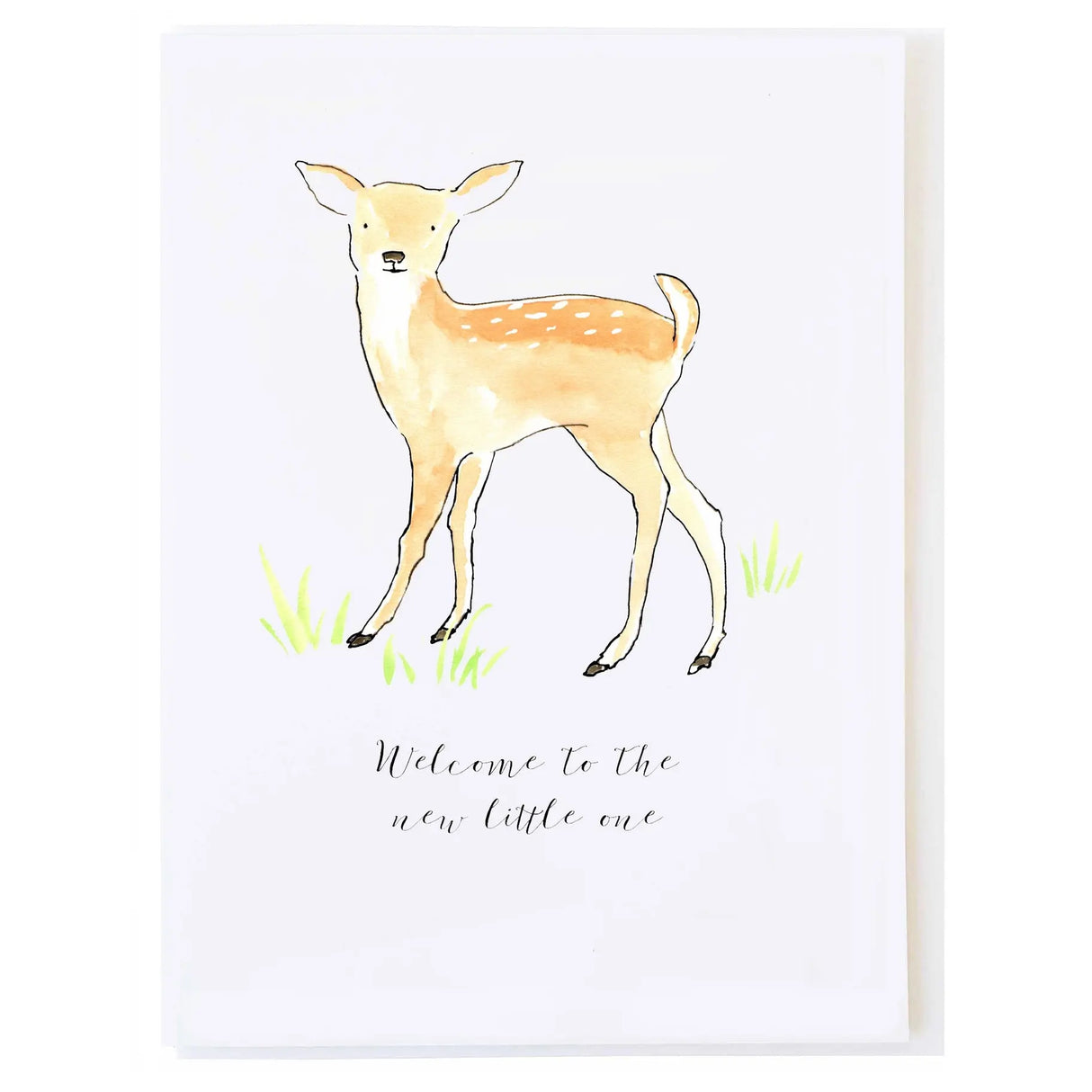 New Baby Fawn Card - mollyOcards - The Woods Maine
