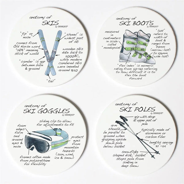 Skiing Anatomy Coasters - Dishique - The Woods Maine