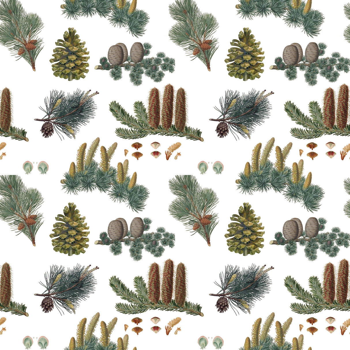 Pine Cones Gift Wrap - Fairhope Graphics