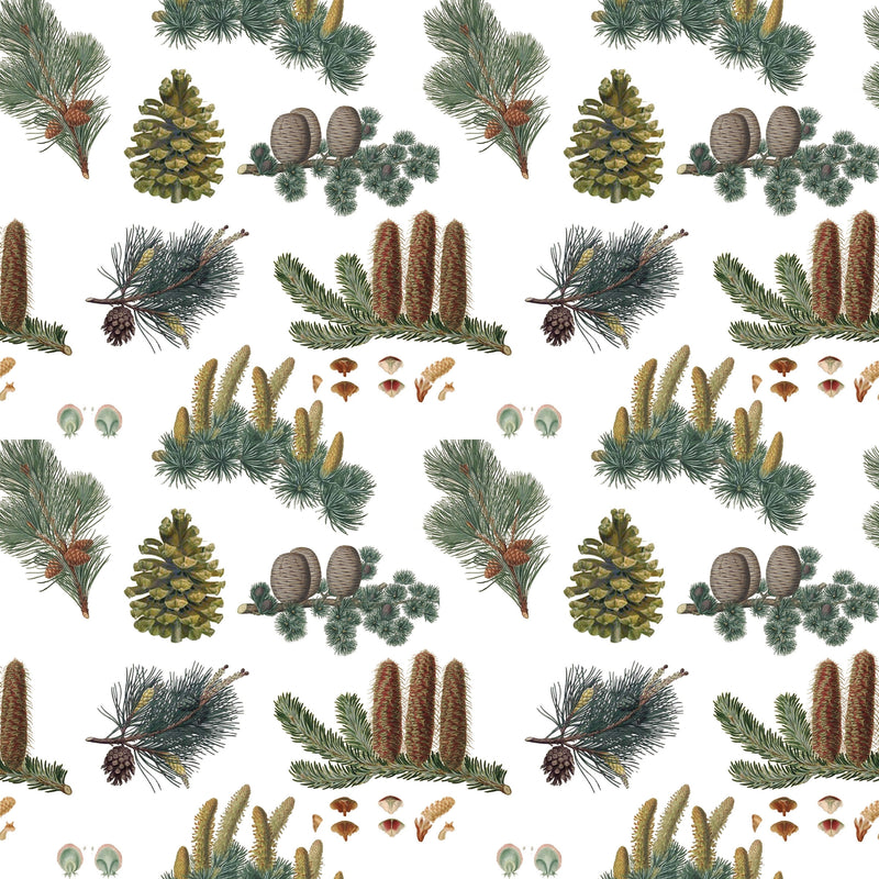 Pine Cones Gift Wrap - Fairhope Graphics