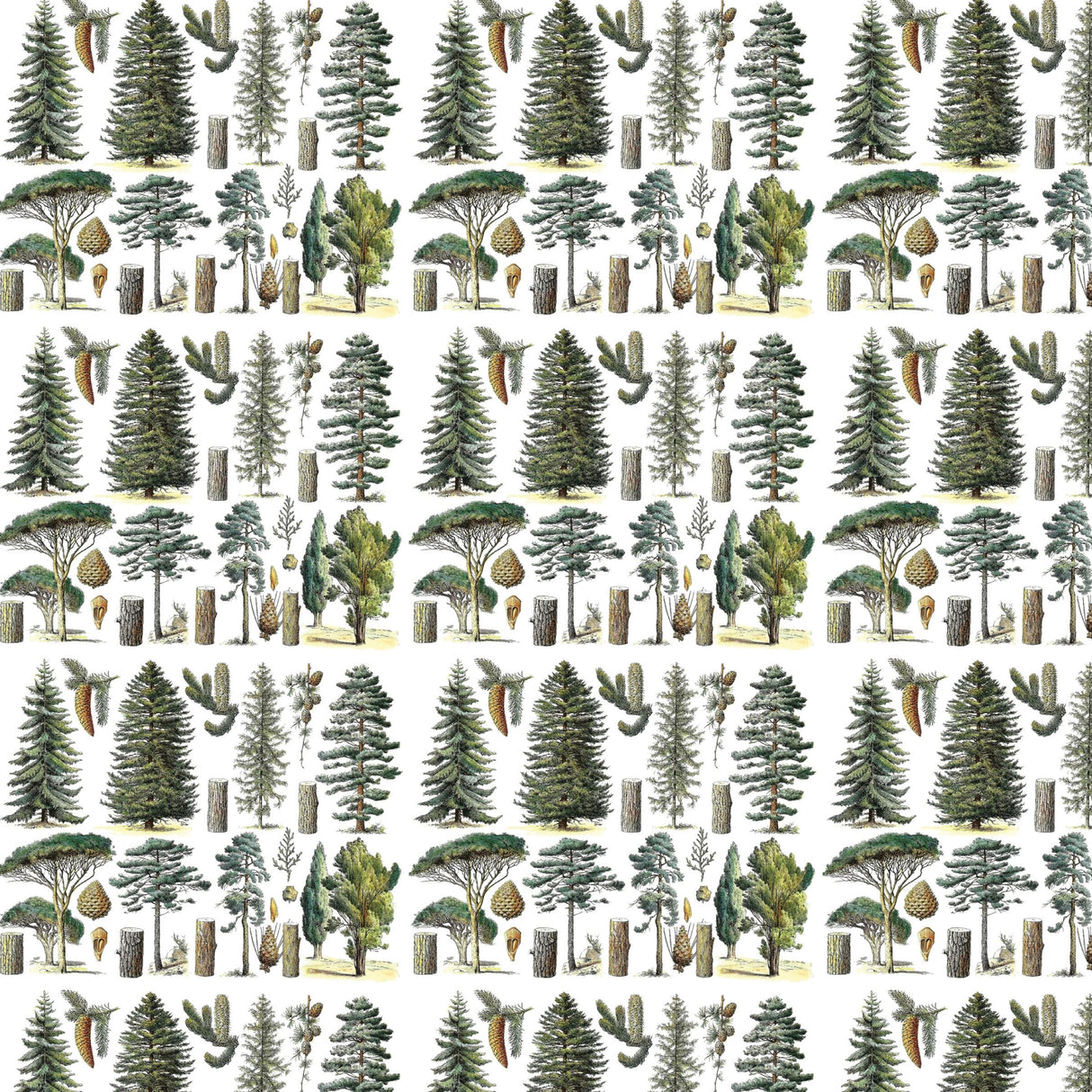 Conifer Forest Gift Wrap - Fairhope Graphics