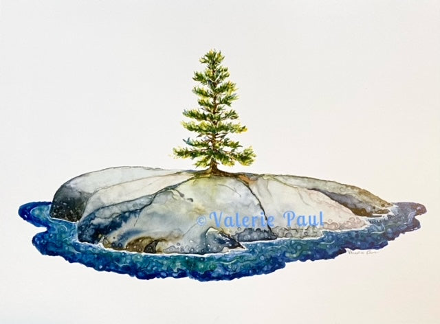 Pine on a Rock Watercolor Print - Valerie Paul Art